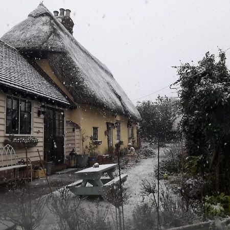 Ivy Todd Cottage Debden Zewnętrze zdjęcie