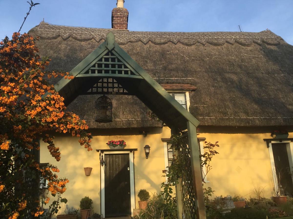 Ivy Todd Cottage Debden Zewnętrze zdjęcie